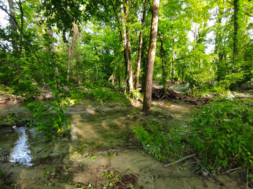 Area verde con acqua vicino al Monastero di San Biagio