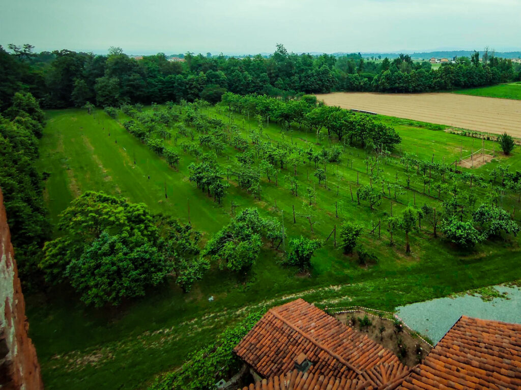 Antico meleto del Monastero di San Biagio