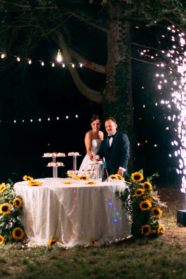 348509cb-886e-484d-87b3-3a3b93812305